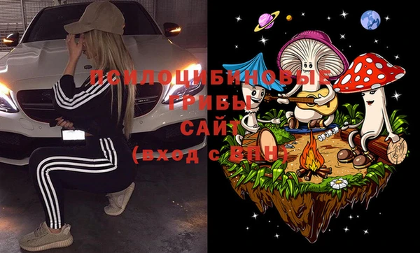 сатива Алексеевка