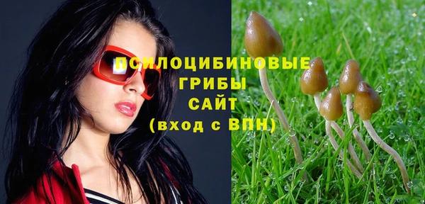 сатива Алексеевка